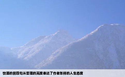 饮酒的前四句从哲理的高度表达了作者怎样的人生态度