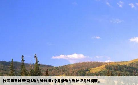 饮酒后驾驶营运机动车处暂扣3个月机动车驾驶证并处罚款。