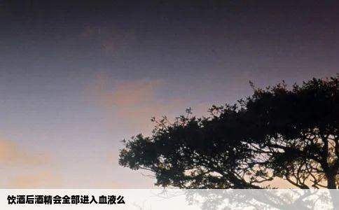 饮酒后酒精会全部进入血液么
