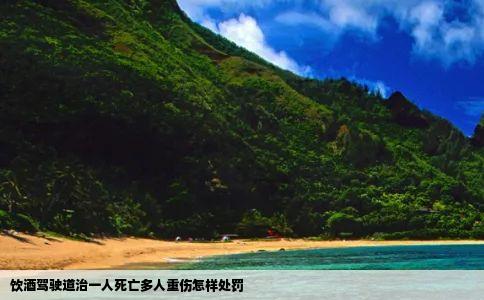 饮酒驾驶道治一人死亡多人重伤怎样处罚