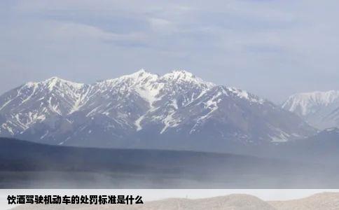 饮酒驾驶机动车的处罚标准是什么