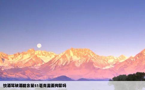 饮酒驾驶酒精含量51毫克需要拘留吗