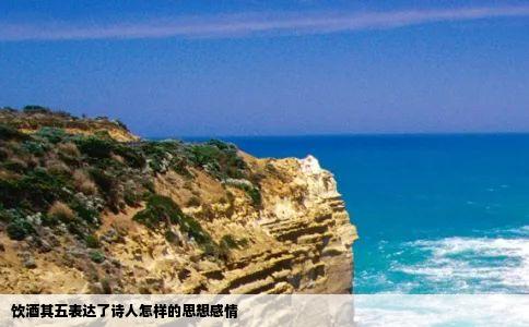 饮酒其五表达了诗人怎样的思想感情