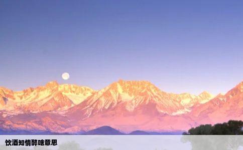 饮酒知情醉啥意思