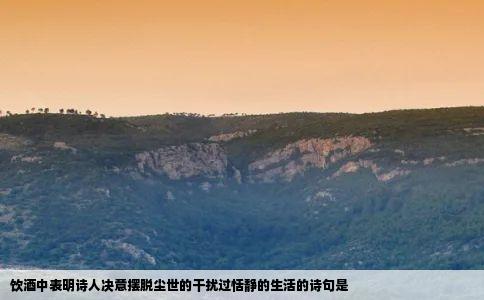 饮酒中表明诗人决意摆脱尘世的干扰过恬静的生活的诗句是