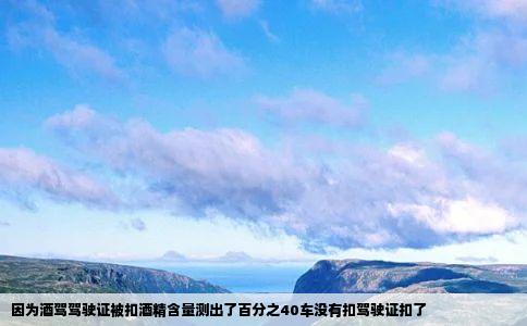 因为酒驾驾驶证被扣酒精含量测出了百分之40车没有扣驾驶证扣了