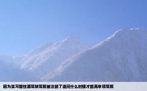 因为实习期饮酒驾驶驾照被注销了请问什么时候才能再申领驾照