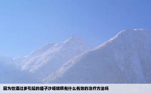 因为饮酒过多引起的嗓子沙哑咳痰有什么有效的治疗方法吗