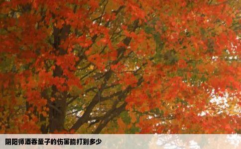 阴阳师酒吞童子的伤害能打到多少