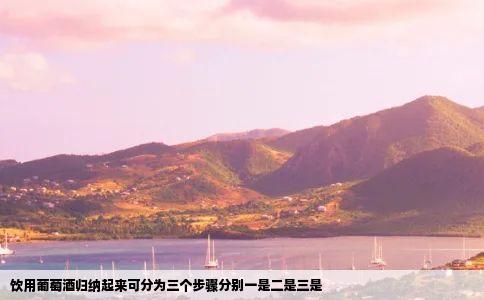饮用葡萄酒归纳起来可分为三个步骤分别一是二是三是
