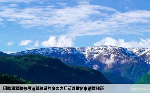 因醉酒驾驶被吊销驾驶证的多久之后可以重新申请驾驶证