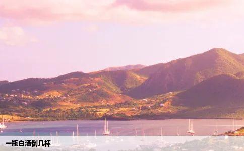 一瓶白酒倒几杯