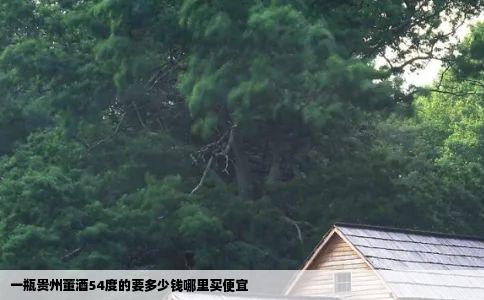 一瓶贵州董酒54度的要多少钱哪里买便宜
