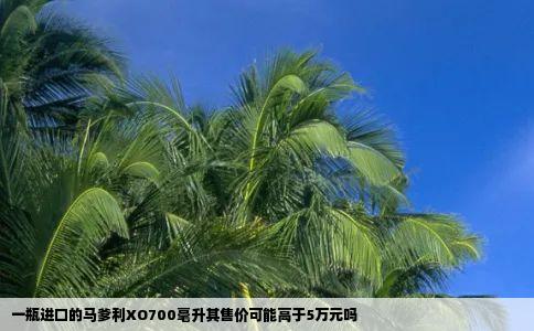 一瓶进口的马爹利XO700毫升其售价可能高于5万元吗