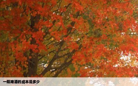 一瓶啤酒的成本是多少