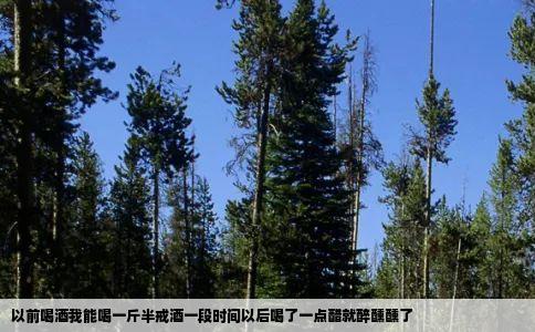 以前喝酒我能喝一斤半戒酒一段时间以后喝了一点醋就醉醺醺了