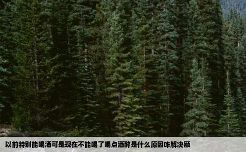 以前特别能喝酒可是现在不能喝了喝点酒醉是什么原因咋解决额