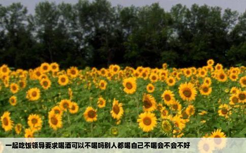 一起吃饭领导要求喝酒可以不喝吗别人都喝自己不喝会不会不好