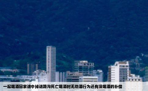 一起喝酒回家途中掉进路沟死亡喝酒时无劝酒行为还有没喝酒的补偿