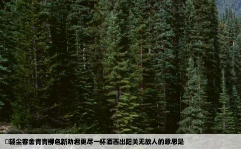 浥轻尘客舍青青柳色新劝君更尽一杯酒西出阳关无故人的意思是