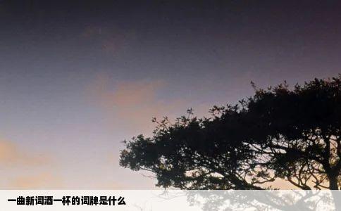 一曲新词酒一杯的词牌是什么