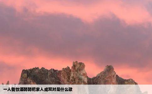 一人我饮酒醉醉把家人成双对是什么歌