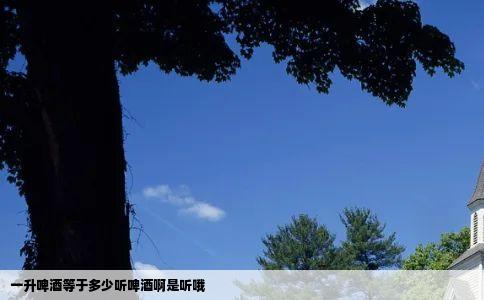 一升啤酒等于多少听啤酒啊是听哦