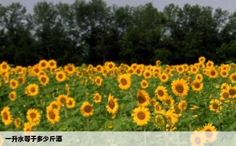 一升水等于多少斤酒