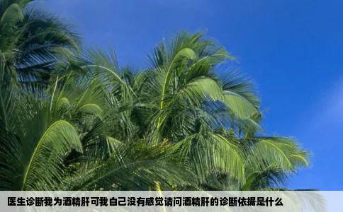 医生诊断我为酒精肝可我自己没有感觉请问酒精肝的诊断依据是什么