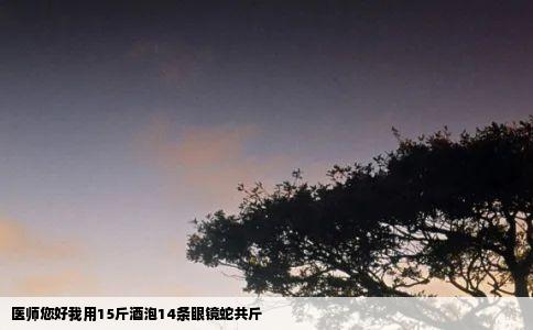 医师您好我用15斤酒泡14条眼镜蛇共斤