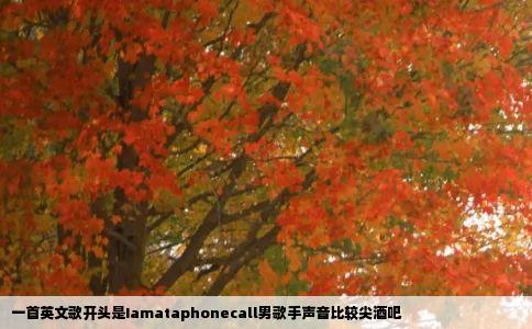 一首英文歌开头是Iamataphonecall男歌手声音比较尖酒吧