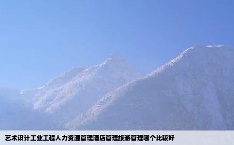 艺术设计工业工程人力资源管理酒店管理旅游管理哪个比较好