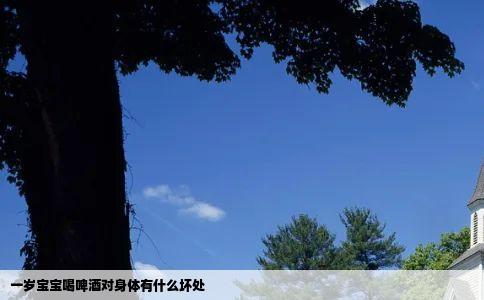 一岁宝宝喝啤酒对身体有什么坏处