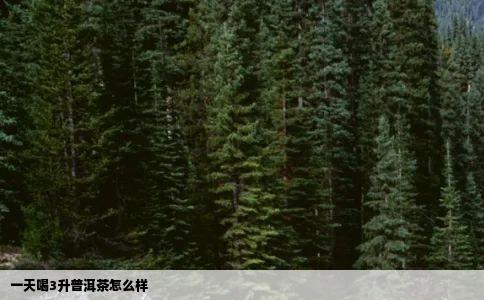 一天喝3升普洱茶怎么样
