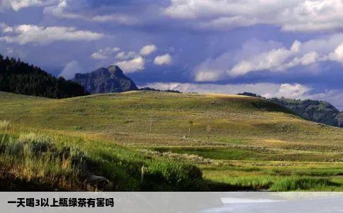 一天喝3以上瓶绿茶有害吗