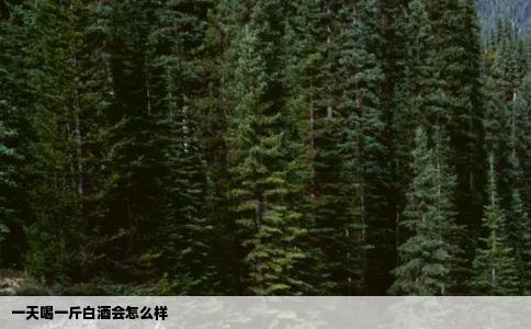 一天喝一斤白酒会怎么样