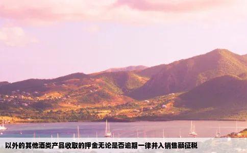 以外的其他酒类产品收取的押金无论是否逾期一律并入销售额征税