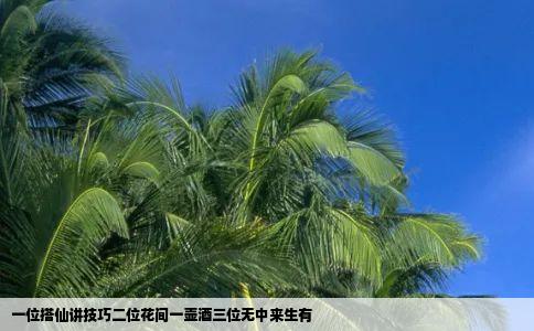 一位搭仙讲技巧二位花间一壶酒三位无中来生有