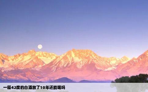 一箱42度的白酒放了10年还能喝吗