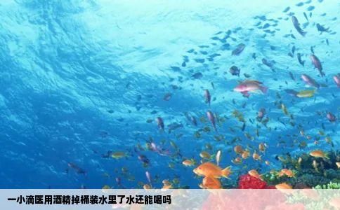 一小滴医用酒精掉桶装水里了水还能喝吗