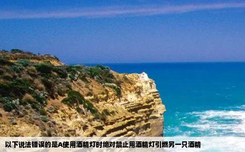 以下说法错误的是A使用酒精灯时绝对禁止用酒精灯引燃另一只酒精