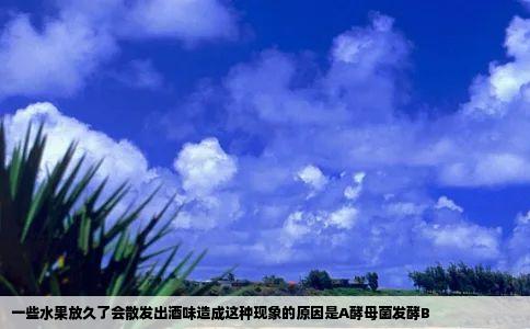 一些水果放久了会散发出酒味造成这种现象的原因是A酵母菌发酵B