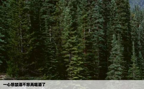 一心想禁酒不想再喝酒了