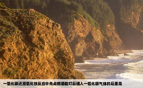 一氧化碳还原氧化铁反应中先点燃酒精灯后通入一氧化碳气体的后果是