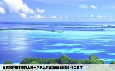 医院那种用手掌向上按一下就出消毒酒精的东西叫什么名字