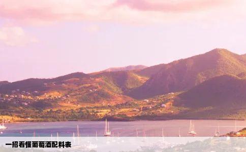 一招看懂葡萄酒配料表