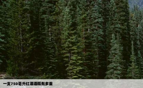 一支750毫升红酒酒瓶有多重