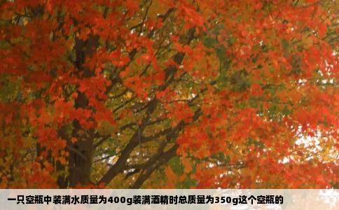 一只空瓶中装满水质量为400g装满酒精时总质量为350g这个空瓶的