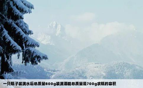 一只瓶子装满水后总质量800g装满酒精总质量是700g求瓶的容积