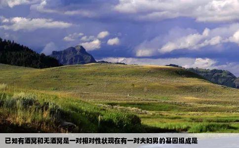 已知有酒窝和无酒窝是一对相对性状现在有一对夫妇男的基因组成是